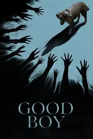 Good Boy