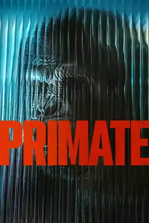 Primate